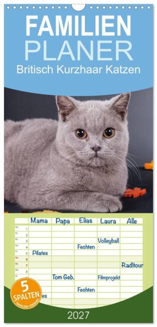 Familienplaner 2027 - Britisch Kurzhaar Katzen mit 5 Spalten (Wandkalender, 21 x 45 cm) CALVENDO - Gabriela Wejat-Zaretzke