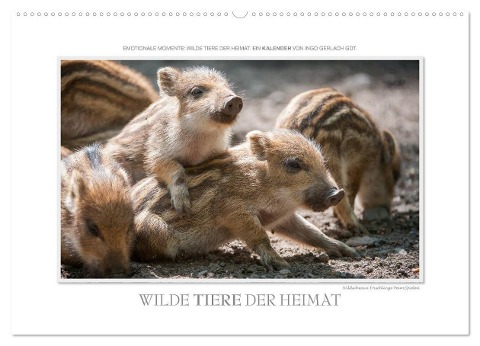 Emotionale Momente: Wilde Tiere der Heimat. (Wandkalender 2024 DIN A2 quer), CALVENDO Monatskalender - Ingo Gerlach GDT