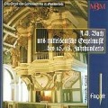 Cover-Bild zum Titel 'Mitteldeutsche Orgelmusik' von 'Alexander Koschel'