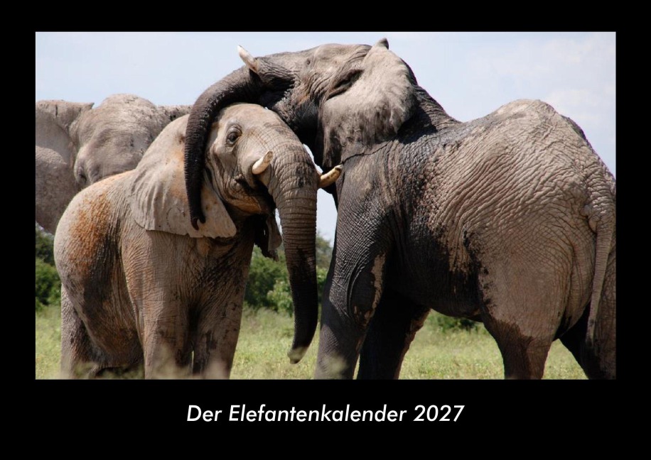 Der Elefantenkalender 2027 Fotokalender DIN A3 - Tobias Becker