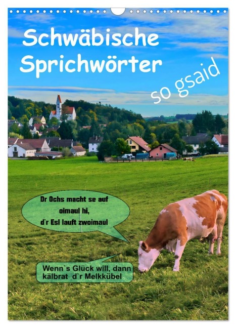 Schwäbische Sprichwörter - so gsaid (Wandkalender 2026 DIN A3 hoch), CALVENDO Monatskalender - Herbert Böck