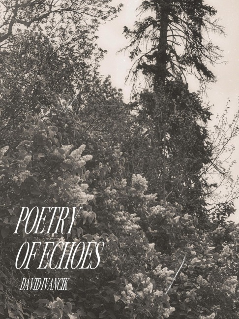 Poetry of Echoes - David Ivancik