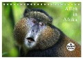 Affen in Afrika (Tischkalender 2024 DIN A5 quer), CALVENDO Monatskalender - Michael Herzog