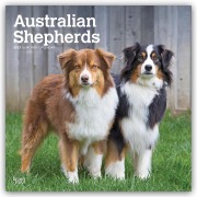 Cover-Bild zum Titel 'Australian Shepherds 2027 - 16-Monatskalender' von 'Browntrout Publishers'