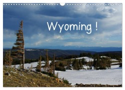 Cover-Bild zum Titel 'Wyoming! (Wandkalender 2027 DIN A3 quer), CALVENDO Monatskalender' von 'Claudio Del Luongo'