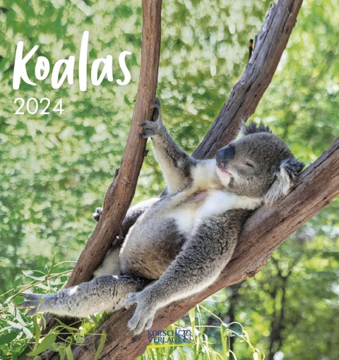 Koalas 2024 - 