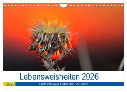 Cover-Bild zum Titel 'Lebensweisheiten 2026 (Wandkalender 2026 DIN A4 quer), CALVENDO Monatskalender' von 'Michis Fotogalerie'