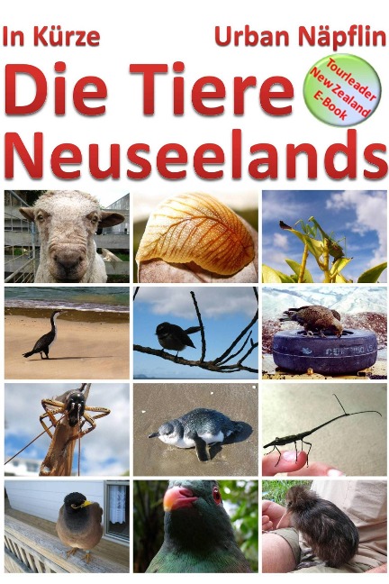 Die Tiere Neuseelands in Kuerze - Urban Napflin