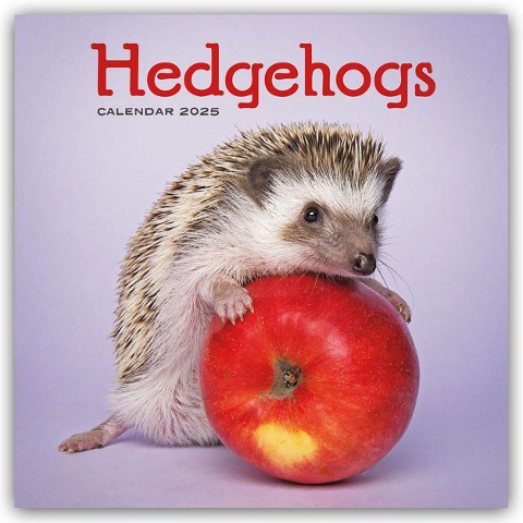 Hedgehogs - Igel 2025 - Wand-Kalender - Carousel Calendar