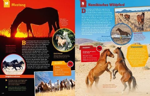 InsideView 13