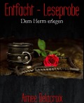 Cover-Bild zum Titel 'Entfacht - Leseprobe' von 'Aimee Delacroix'