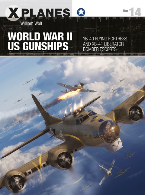 World War II US Gunships - William Wolf
