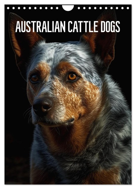 Australian Cattle Dogs (Wandkalender 2026 DIN A4 hoch), CALVENDO Monatskalender - Tim Alberts