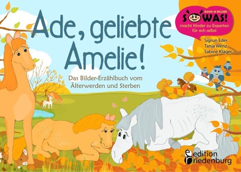 Ade, geliebte Amelie! Das Bilder-Erzählbuch vom Älterwerden und Sterben - Sigrun Eder, Sabine Kläger, Tanja Wenz