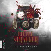 Cover-Bild zum Titel 'Little Stranger' von 'Leigh Rivers'