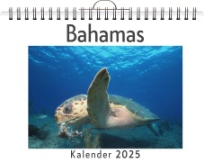 Cover-Bild zum Titel 'Bahamas' von 'Sophia Herrmann'