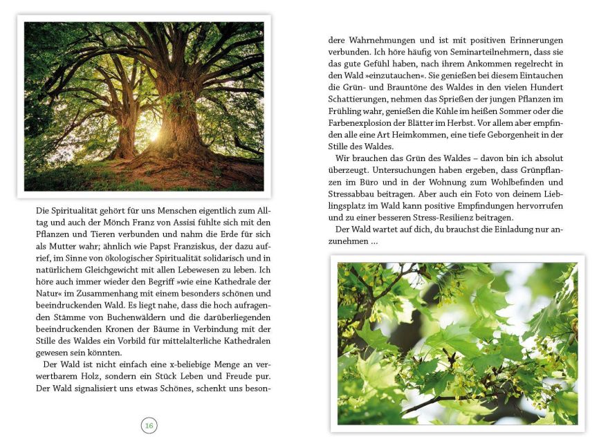 InsideView 7