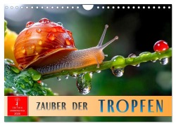 Cover-Bild zum Titel 'Zauber der Tropfen (Wandkalender 2026 DIN A4 quer), CALVENDO Monatskalender' von 'Peter Roder'
