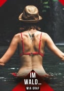 Cover-Bild zum Titel 'Im Wald...' von 'Mia Graf'