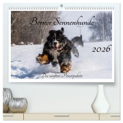 Berner Sennenhunde - Die sanften Powerpakete (hochwertiger Premium Wandkalender 2026 DIN A2 quer), Kunstdruck in Hochglanz - Jana K. Fotografie