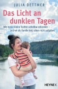 Das Licht an dunklen Tagen - Julia Dettmer