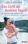 Cover-Bild zum Titel 'Das Licht an dunklen Tagen' von 'Julia Dettmer'