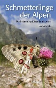 Schmetterlinge der Alpen - Gianluca Ferretti