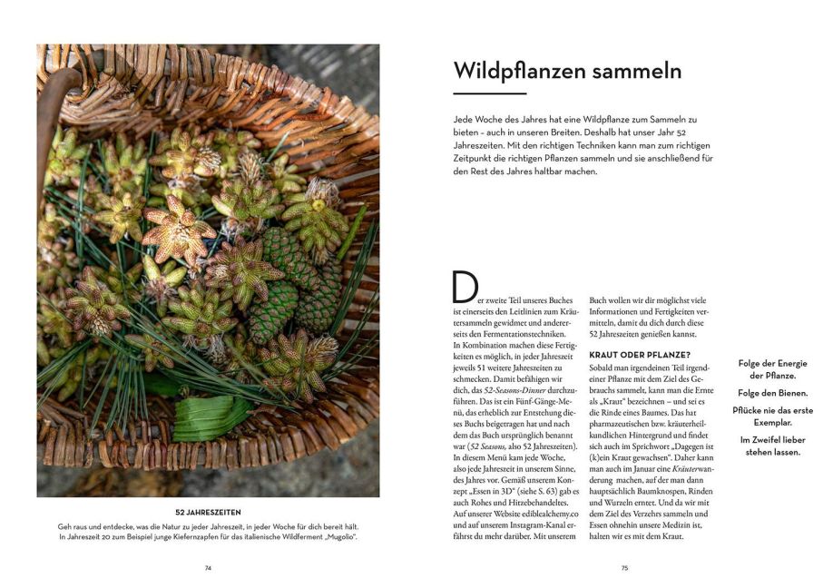 InsideView 3