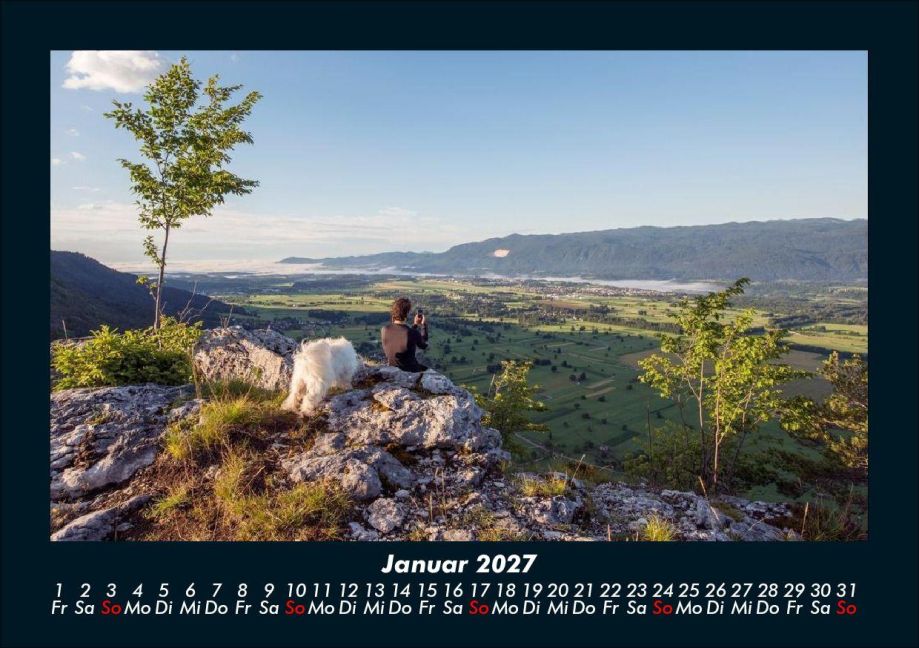 InsideView 5