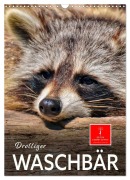 Cover-Bild zum Titel 'Drolliger Waschbär (Wandkalender 2026 DIN A3 hoch), CALVENDO Monatskalender' von 'Peter Roder'