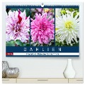 Dahlien - Prachtvolle Blüten des Spätsommers (hochwertiger Premium Wandkalender 2025 DIN A2 quer), Kunstdruck in Hochglanz - Dieter Meyer