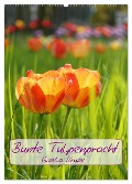 Bunte Tulpenpracht (Wandkalender 2025 DIN A2 hoch), CALVENDO Monatskalender - Gisela Kruse