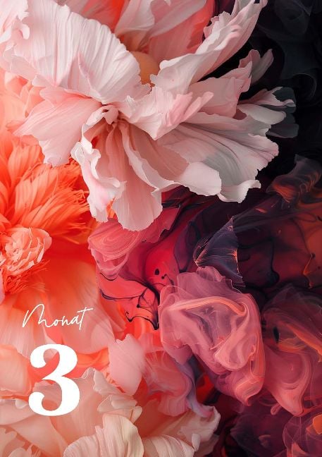 InsideView 8