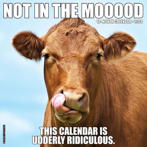 Not in the Mooood 2024 12 X 12 Wall Calendar - Willow Creek Press
