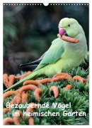 Cover-Bild zum Titel 'Bezaubernde Vögel im heimischen Garten (Wandkalender 2026 DIN A3 hoch), CALVENDO Monatskalender' von 'Dieter Wilczek'