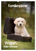 Familienplaner: Golden Retriever Welpen (Wandkalender 2025 DIN A2 hoch), CALVENDO Monatskalender - Anna Auerbach