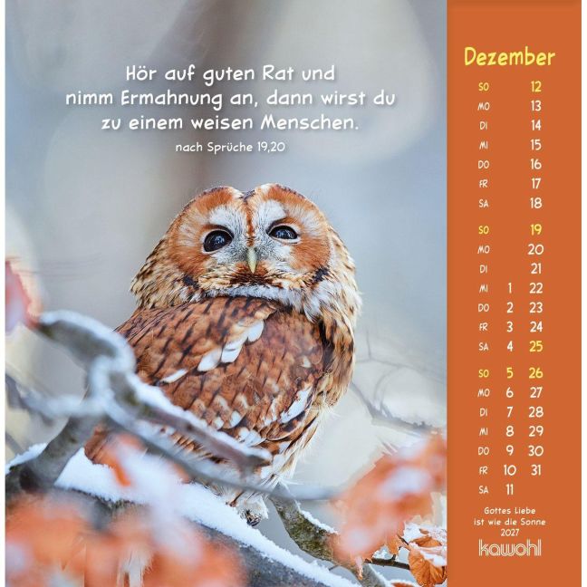 InsideView 12