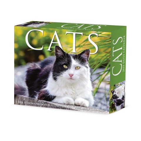 Cats 2025 6.2 X 5.4 Box Calendar - Willow Creek Press