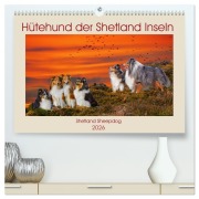 Cover-Bild zum Titel 'Hütehund der Shetland Inseln - Shetland Sheepdog (hochwertiger Premium Wandkalender 2026 DIN A2 quer), Kunstdruck in Hochglanz' von 'Sigrid Starick'