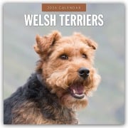 Welsh Terriers - Welsh Terrier 2026 - 16-Monatskalender - Robin Red