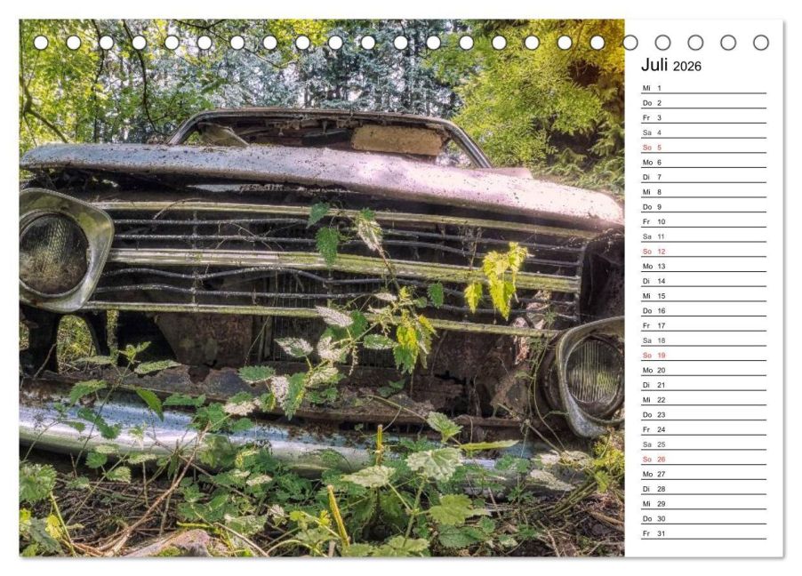 InsideView 12