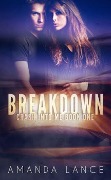 Cover-Bild zum Titel 'Breakdown (Crash into Me, #1)' von 'Amanda Lance'