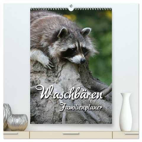 Waschbären Familienplaner (hochwertiger Premium Wandkalender 2025 DIN A2 hoch), Kunstdruck in Hochglanz - Martina Berg