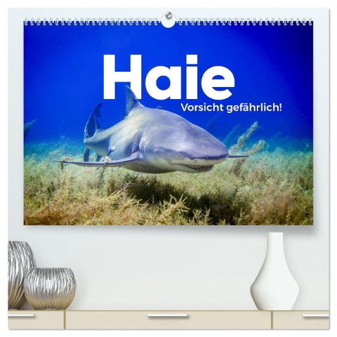 Haie - Vorsicht gefährlich! (hochwertiger Premium Wandkalender 2025 DIN A2 quer), Kunstdruck in Hochglanz - M. Scott