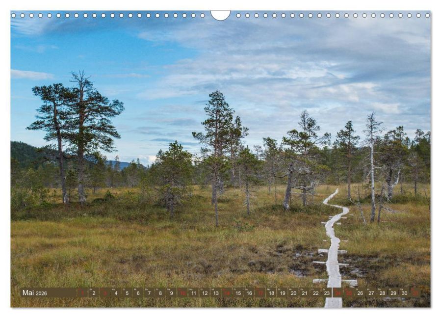 InsideView 10