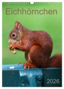 Cover-Bild zum Titel 'Eichhörnchen (Wandkalender 2026 DIN A3 hoch), CALVENDO Monatskalender' von 'SchnelleWelten SchnelleWelten'
