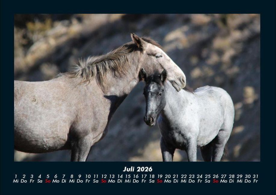 InsideView 11