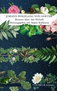 Cover-Bild zum Titel 'Roman über das Weltall' von 'Johann Wolfgang von Goethe'
