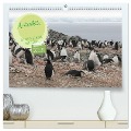 Antarktis Auf der Entdeckung ihrer Tierwelt (hochwertiger Premium Wandkalender 2024 DIN A2 quer), Kunstdruck in Hochglanz - Alain Gaymard