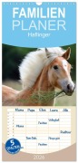 Familienplaner 2026 - Haflinger mit 5 Spalten (Wandkalender, 21 x 45 cm) CALVENDO - Nicole Noack